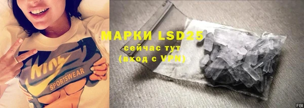индика Снежинск