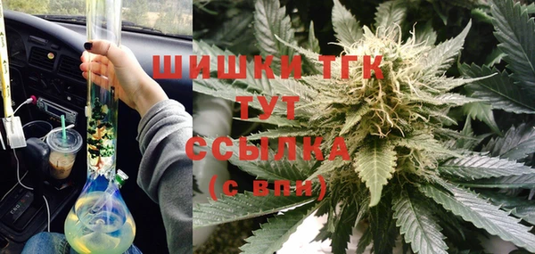 амф Липки