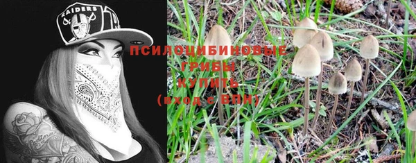 амф Липки