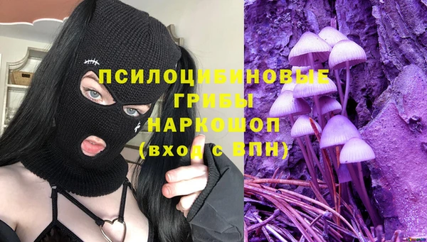 молекула духа Лихославль