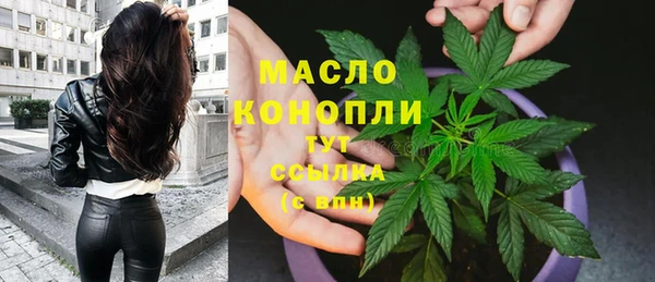 амф Липки