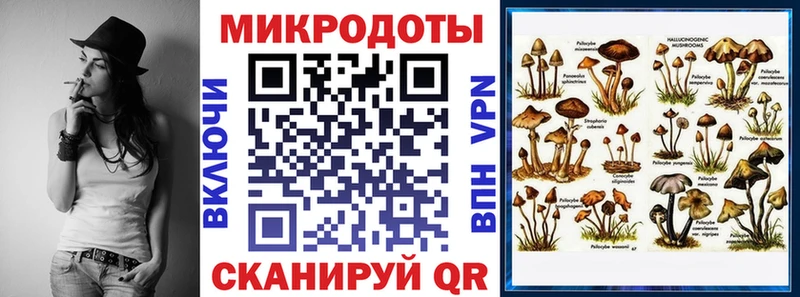 как найти закладки  Сухиничи  Галлюциногенные грибы Psilocybine cubensis 